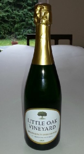 Our first batch of sparkling wine