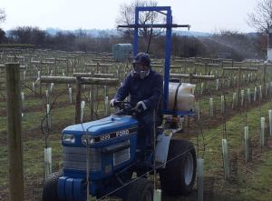 little-oak-vineyard-tractor