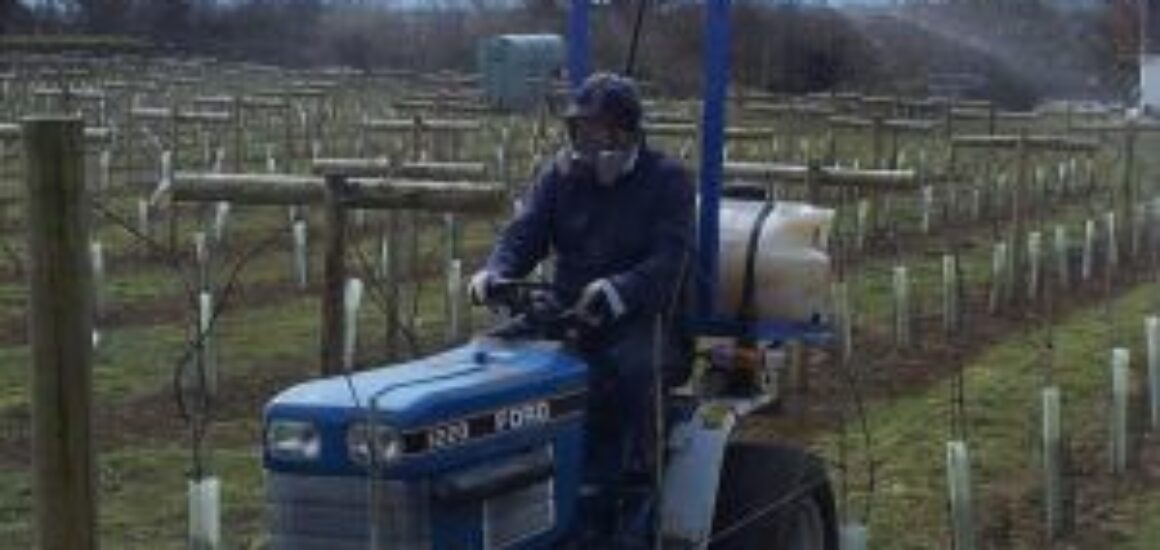 little-oak-vineyard-tractor-with-sprayer
