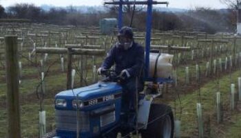 little-oak-vineyard-tractor-with-sprayer